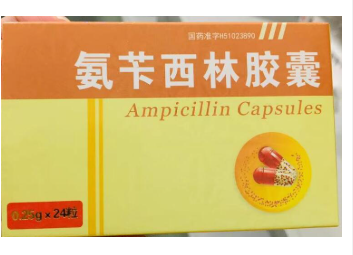 氨苄西林胶囊
